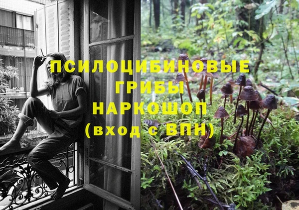 стафф Ростов