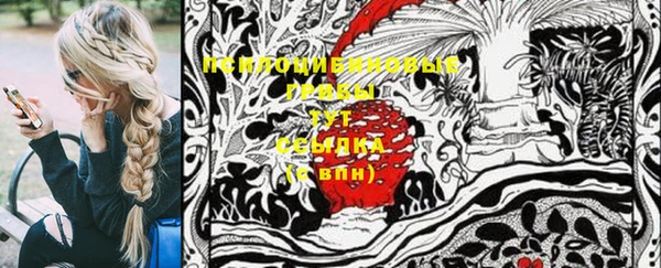 стафф Ростов